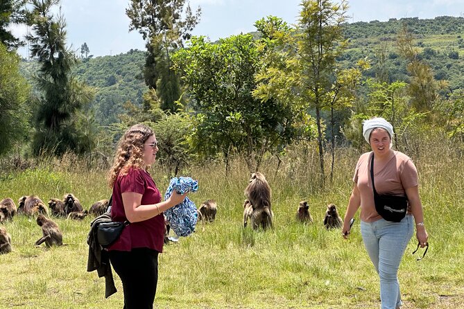 1-Day Tour Old bridge, Monastery,water falls Wildlife,Birds, - Key points to know before booking
