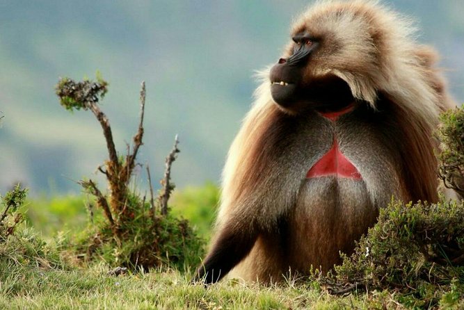 10 Days in Northern Ethiopia Tours - Key points to know before booking