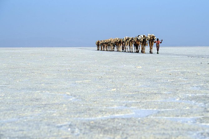 2 Days Dallol Trip - Day two: salt blocks, Dallol, and Lake Assal