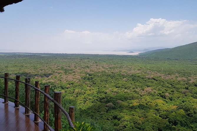 2 Days Ethiopian Rift Valley Lakes Tour from Addis Ababa - Bishoftu’s crater lakes and the coffee ceremony
