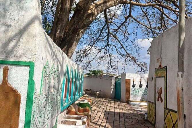2 Days Harar Tours - Key points at a glance