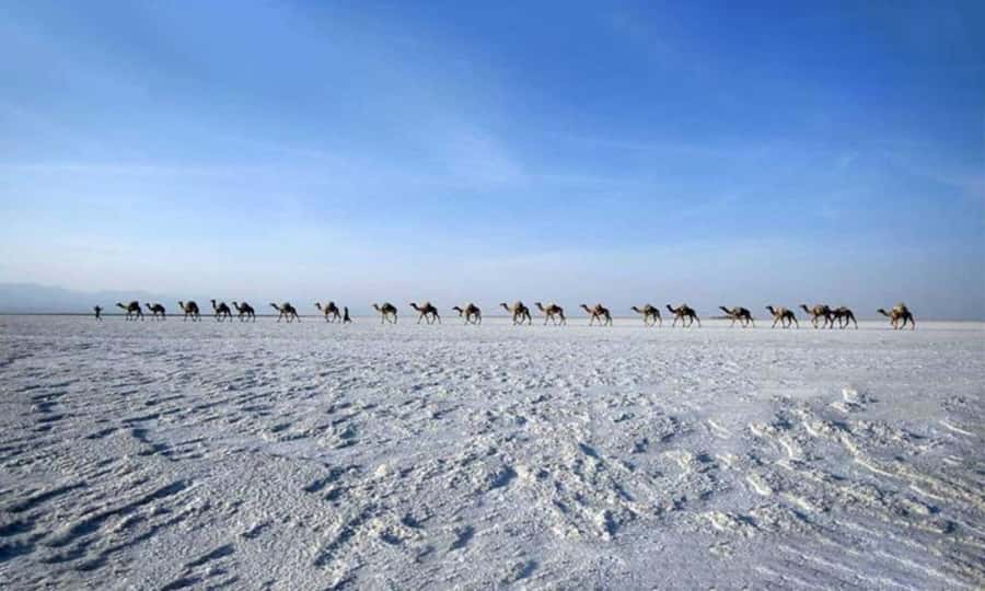 2-Night 3-Day Danakil Depression Tour without Flights - Why the Danakil Depression feels unlike a normal tour