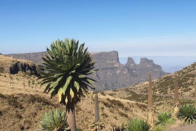 2 Nights 3 Days Trek to Semien Mountain - What I like most about this mountain trip