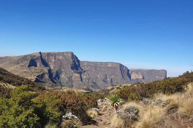 2 Nights 3 Days Trek to Semien Mountain - Day one: Gondar, Debark, and the walk to Sankobar