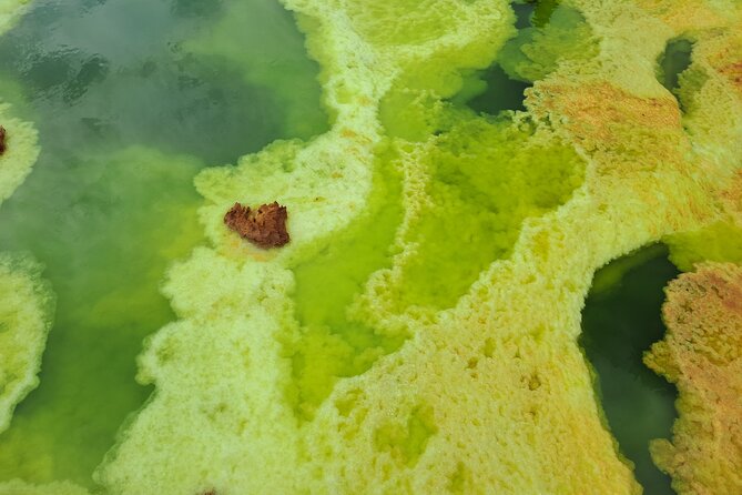 3 Day Danakil Depression Ertale and Dallol Tours - The food, vehicle, and camp conditions
