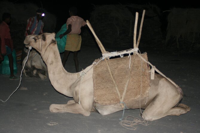 3-Day Danakil Depression Expedition - Who will enjoy this expedition