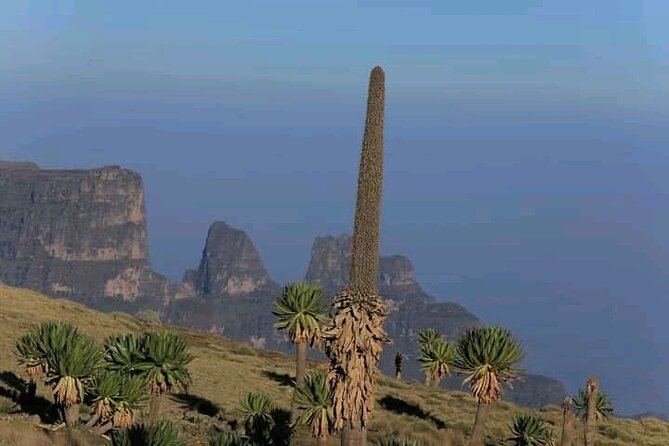 3 Day Simien Mountains Tours - Fitness, altitude, and what to pack