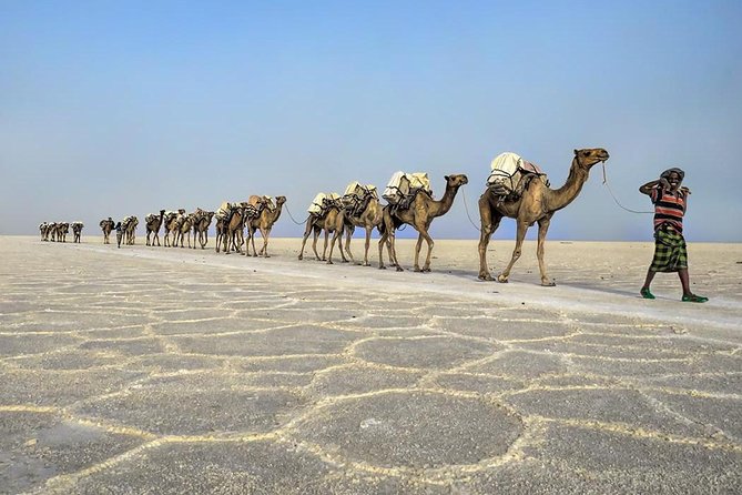 3 Day Tour to the Danakil Depression, Dallol, and Earta'le Volcano - Day two: Salt flats, Lake Asale, and a night at Hamedella