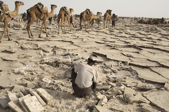 3 Day Tour to the Danakil Depression, Dallol, and Earta'le Volcano - Who should book this Danakil tour