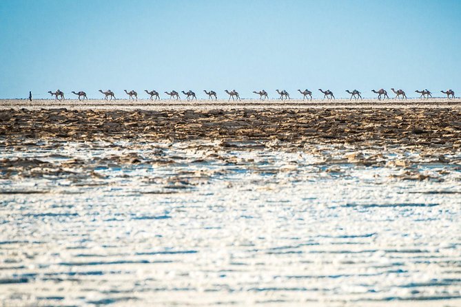 3 Days Danakil Depression Tour - Guides, food, and the human side of the trip