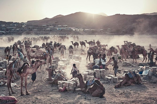 3 Days Danakil Depression Tours Via Semera - Day two: Dallol’s colored salts and volcanic ground