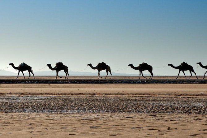 3 Days Danakil Depression Tours Via Semera - What the $420 price really covers