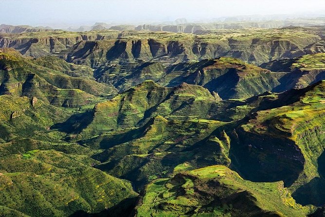 3 Days Simien Mountains Trekking - Wildlife: what you might see