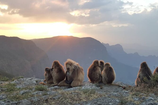 5 days Exploring North Ethiopia's Rich History and Culture - Price, inclusions, and the real value