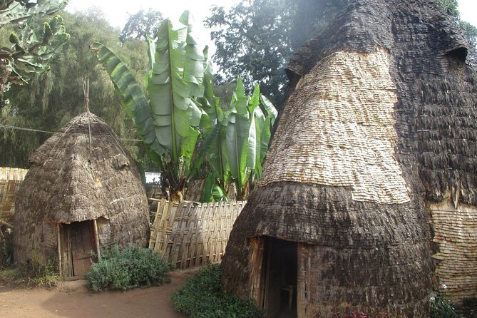 6 day Omo ValleyTours - Day 4: Mursi communities and the road to Konso