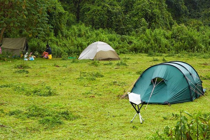 6 Days Bale Mountains Trekking - Day 6: A short transfer back toward Addis Ababa