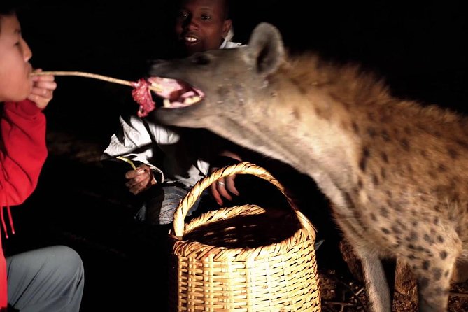 6 Days Lalibela, Omo Valley and Harar - Dasenech by boat on the Omo River