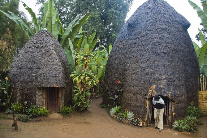 6 days Omo valley cultural Tour - Day 3: Mursi homes in Mago National Park