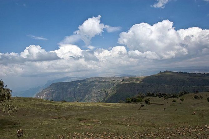 6 Days tour Package (Simien Mountains, Lalibela, and Danakil Depression) - Day 5: Erta Ale sunrise, Afdera, and a possible salt lake stop