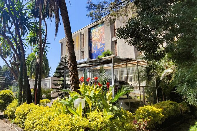 A Guided Tour of Addis Ababa That Includes a City Viewpoint - A half-day way to get your bearings in Addis Ababa