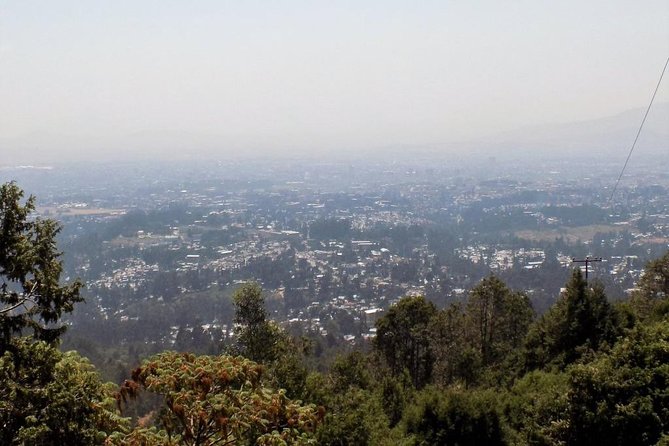 Addis Ababa City Tour - From Entoto Mountain to the heart of Addis Ababa