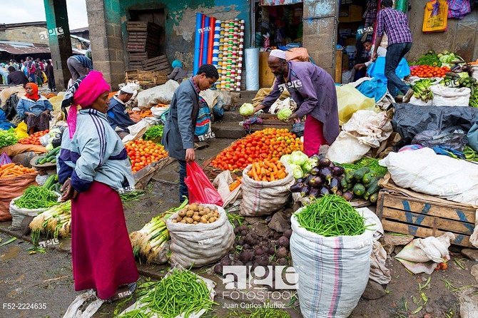 Addis Ababa City Tours With Cocking Class of Ethiopian Food - Who should book this experience?
