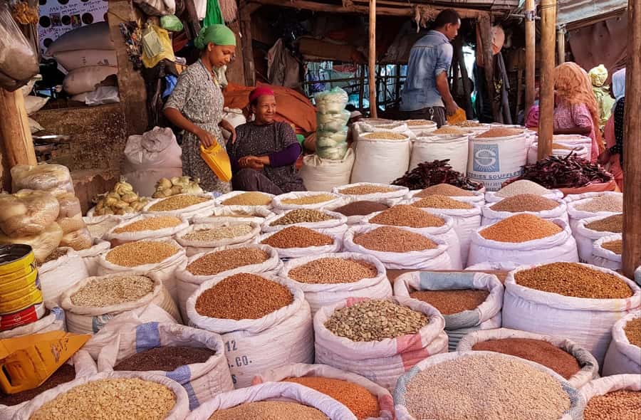 Addis Ababa: Entoto hill and Mercato Market layover tour - Ethiopian lunch and the coffee stop
