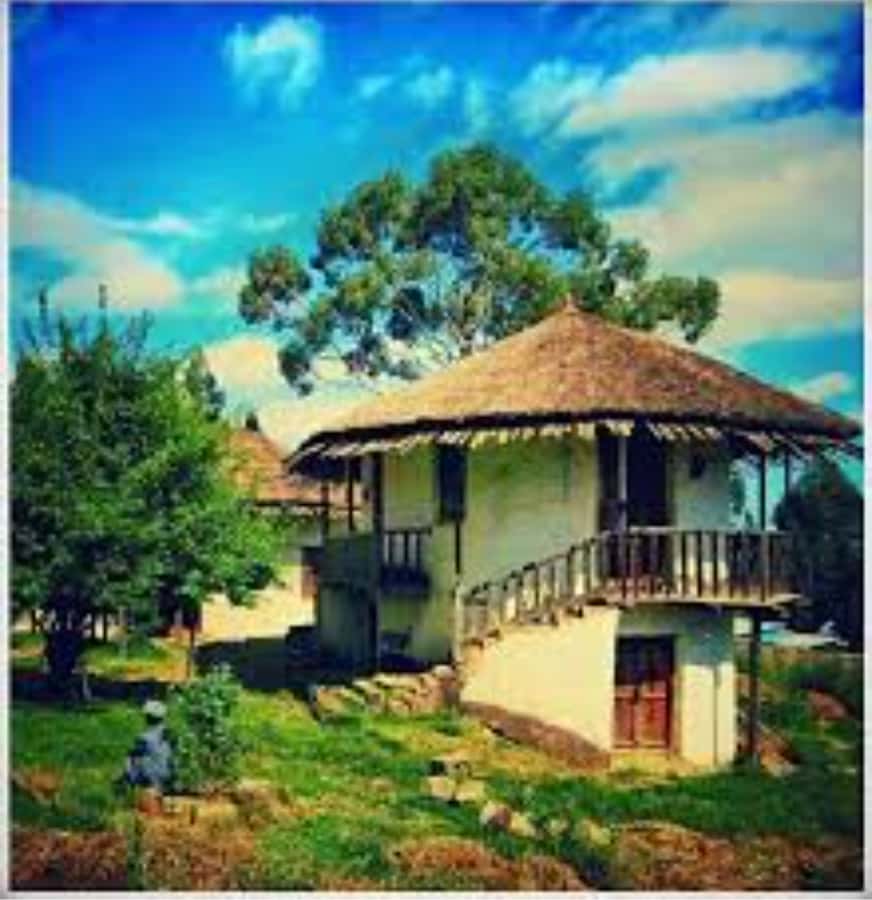 Addis Ababa: Entoto hill and Mercato Market layover tour - Who should book this Addis Ababa tour?