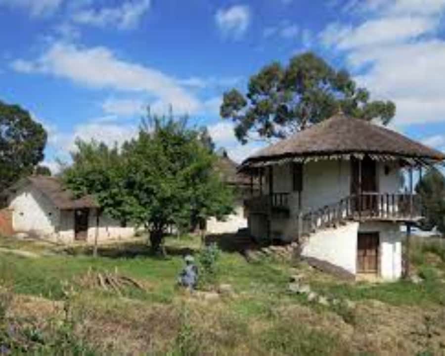 Addis Ababa: Entoto hill and Mercato Market layover tour - Menelik II’s former palace