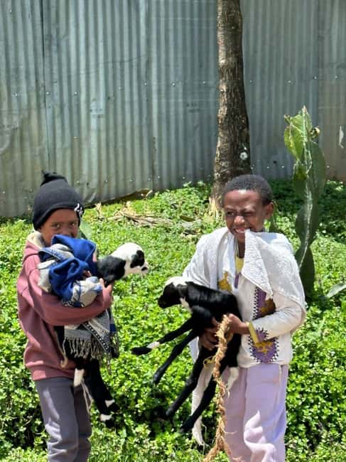 Addis Ababa highlight city tour - Is $50 good value?