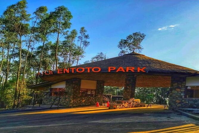 Addis Ababa +Mount Entoto View Point,Museums Palace Market Tours - Starting above the city on Mount Entoto