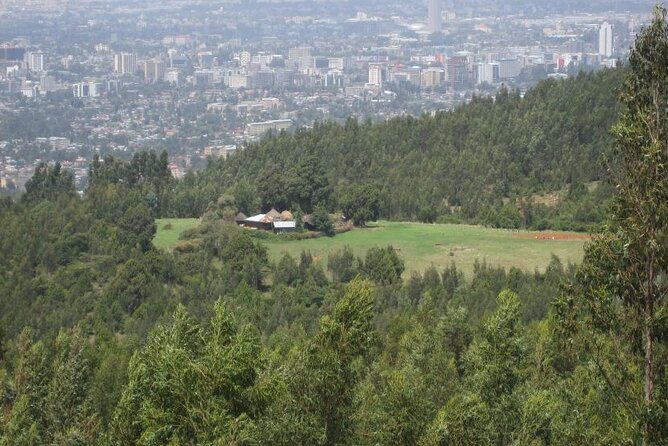 Addis Ababa +Mount Entoto View Point,Museums Palace Market Tours - Tomoca Coffee, Ethiopia in a small cup