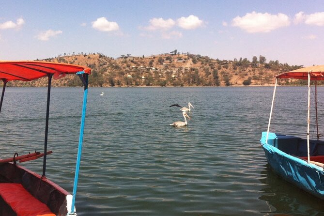 Addis Ababa Spa Day Trip To Debre Ziet(Resort Towns) - Who will enjoy this resort day most