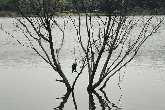 Addis City Tour & Crater Lakes excursions in Debreziet! - Why this Addis and Debrezeit combination works
