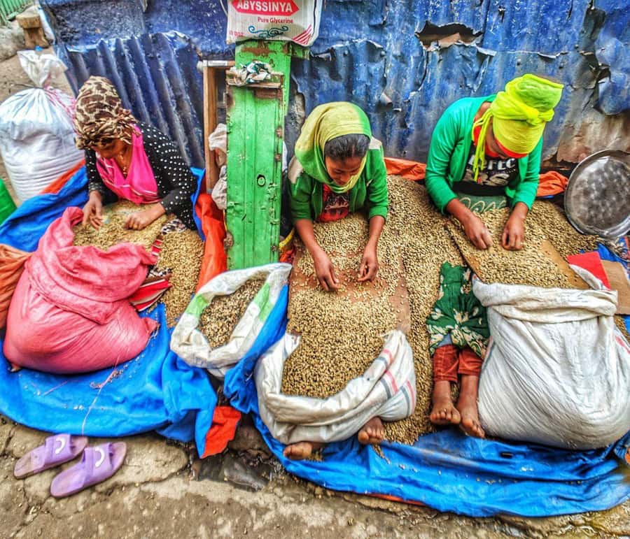 "Addis Uncovered: Culture, Views & Everyday Vibes - Meeting Lucy at the National Museum