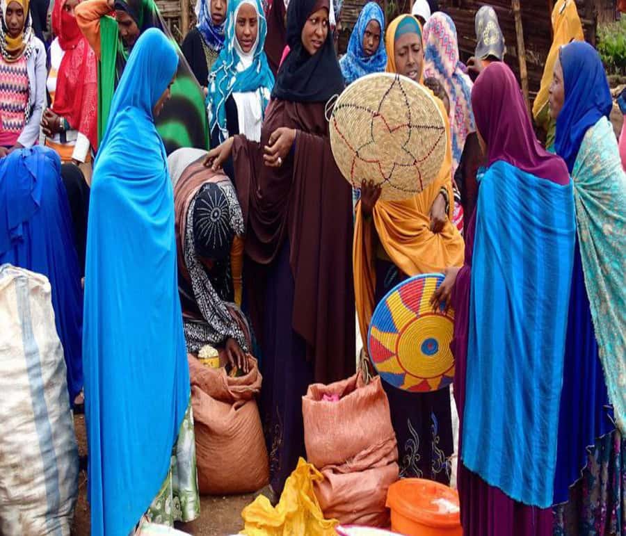 "Addis Uncovered: Culture, Views & Everyday Vibes - Starting with pickup in Addis Ababa