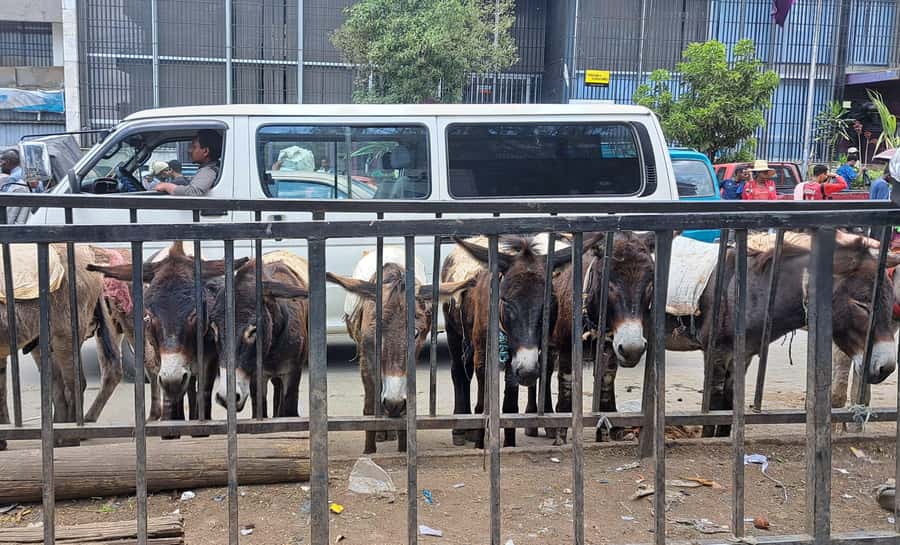 ADDISCOVERY: Addis Ababa Half-day Flexible City Discovery - Key points at a glance