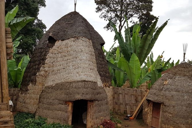 Arba Minch, Dorze Tribe, Konso, and Awasa Private 4 Days Tour from Addis Ababa - Day 2: Konso’s terraces, villages, and clan leadership