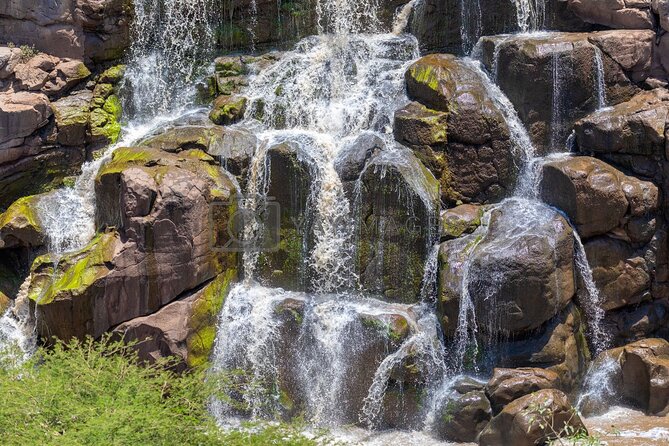 Awash National Park Tours - What the $400 price covers