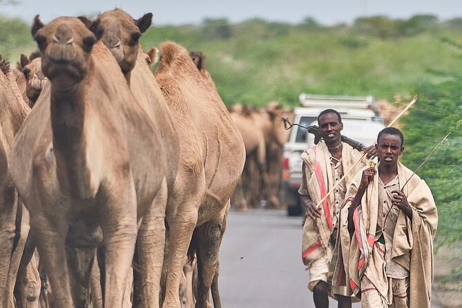 Awash National Park Tours - How to prepare for the two days
