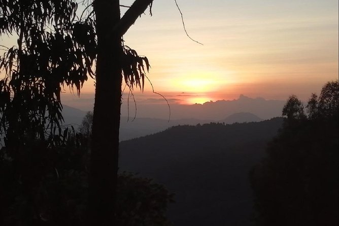 Breathtaking Nature, Wildlife and Cave Church Tour - Free Pickups - Debre Libanos, a church with a complicated past