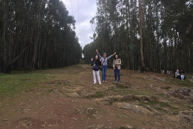 city tour of Addis Ababa ( history ,culture , food and more) - Key points to know before booking