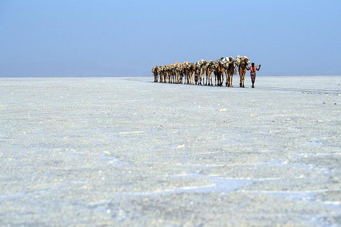 Danakil 3 days tour - What the $650 price really covers
