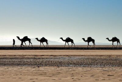 Danakil Depression and Lalibela 5 Days Tours