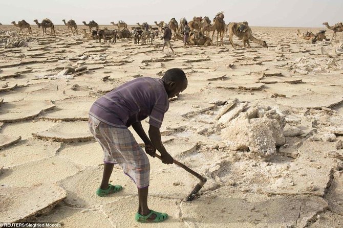 Danakil Depression and Lalibela 5 Days Tours - Guides, drivers, and group size