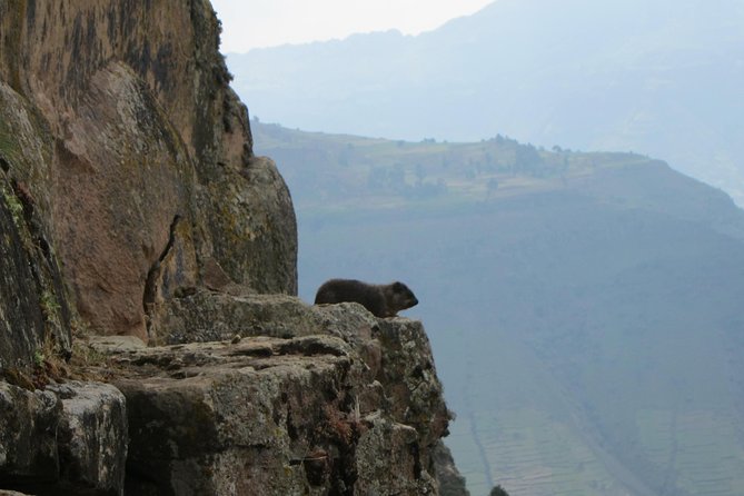 Day Hike Around Lalibela - Starting at 8:30 a.m. in Lalibela