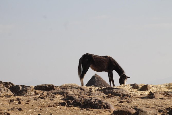 Day Hike Around Lalibela - Watching for Gelada Baboons, Birds, and Hyraxes