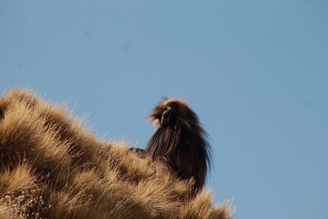 Day Hike Around Lalibela - Is $50 a Fair Price?