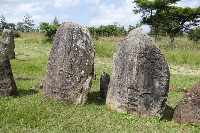 Day Tours to Tiya Stele and Cave Churches of Adadi Maryam - Tiya’s carved stelae and unanswered symbols