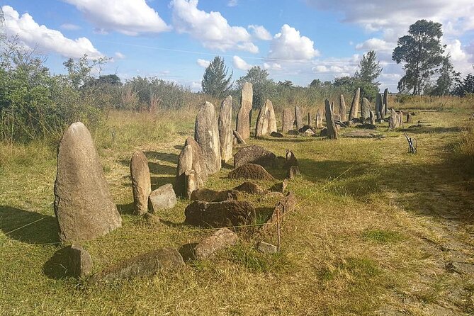 Day Tours to Tiya Stele and Cave Churches of Adadi Maryam - Should you book Adadi Maryam and Tiya?